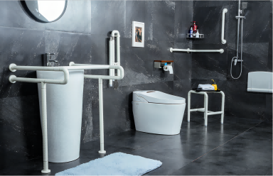 Bathroom Grab Bar and Shower Chair Series