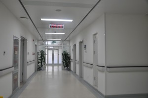 案例展示