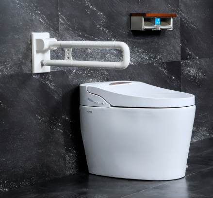 Folding Up Grab Bar Series